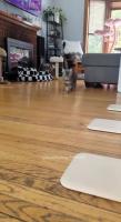 VID_20250412_003802_212.mp4