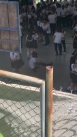 165333531495.mp4