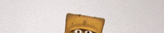 IMG_6745.gif