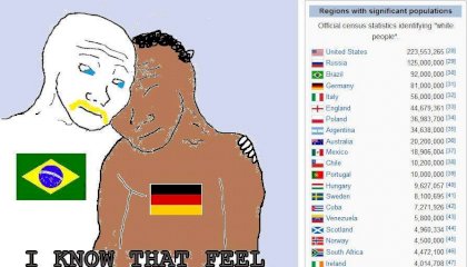 8cd.jpg