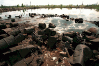 lake-karachay.gif