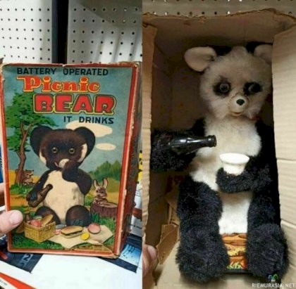 picnic bear.jpg