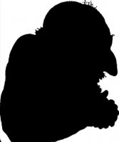 1495399280001.webm