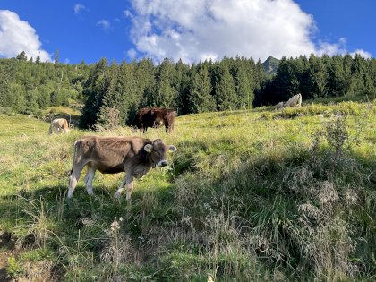 IMG_0721.jpeg