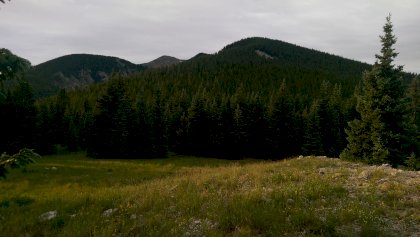 IMAG0065.jpg