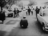 16219745024940.webm