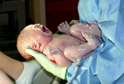 1024px-HumanNewborn[1].JPG