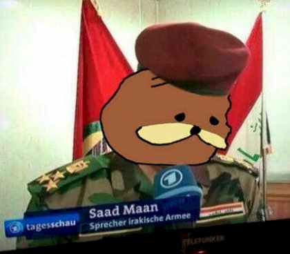 bllsf.jpg