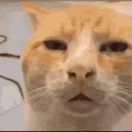 1659807481098005.gif