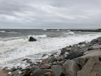 53736044-D2E3-4F3C-A957-EA763B32F0FA.jpeg