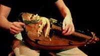 hurdy gurdy.webm