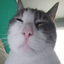 162147798963.png