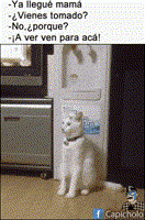t_c7414bebb6ee3fa81f2a8b1fc09f1fb026d75b88ef16670b095847281f0ac988.gif