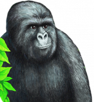 Gorilla Munch.png