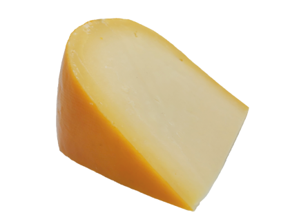 goida.png