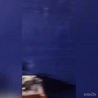g.mp4