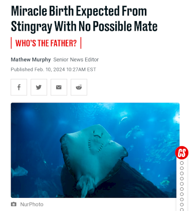 Screenshot_20240211-225814~2.png