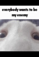 oh the misery.mp4