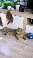 aQErj02_460svvp9.webm