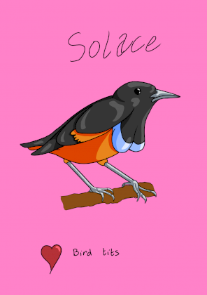 birb.png