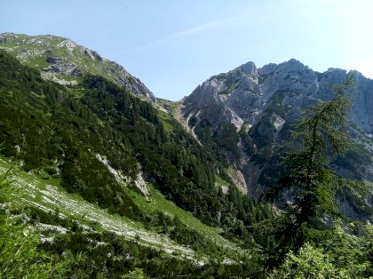 IMG_20220618_101956_8.jpg