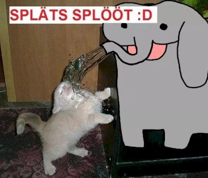 spläts splööt.jpg