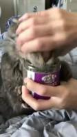 1757601834991711.webm
