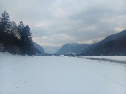 IMG_20230208_144042_0.jpg