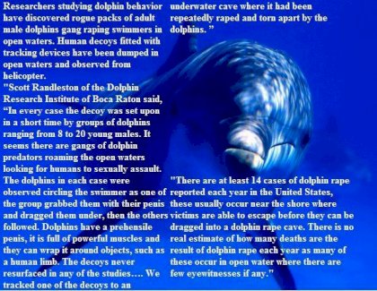dolphin_rape_caves.jpg