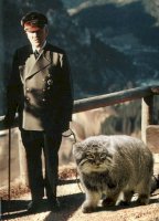 hitler_with_a_manul.jpg
