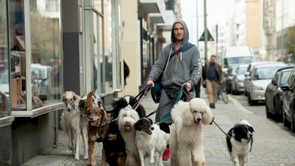 01113134-7d65-4d0b-9d08-5a0ef4792e70.layout=1280x720.jpg