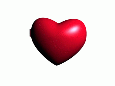 IMG_1136.gif