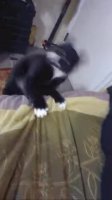 aqeVZBZ_460svvp9.webm