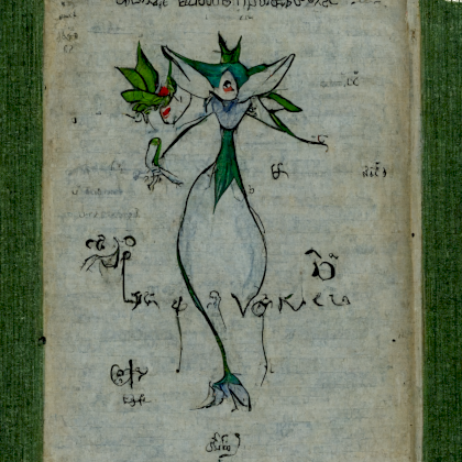 Gardevoir_and_its_evolutions_in_Voynich_manuscript_encyclopedia.png