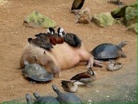 frens.jpg