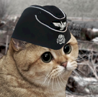 1295654670001.png