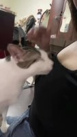 a6qXYN9_460svvp9.webm