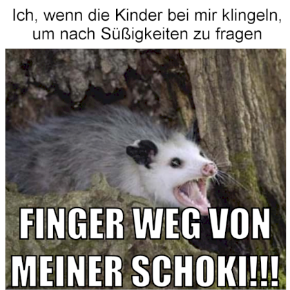 92fb9524a659dd3c.png