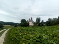 IMG_20200718_110944_7.jpg