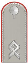 DH154-Oberfähnrich.png