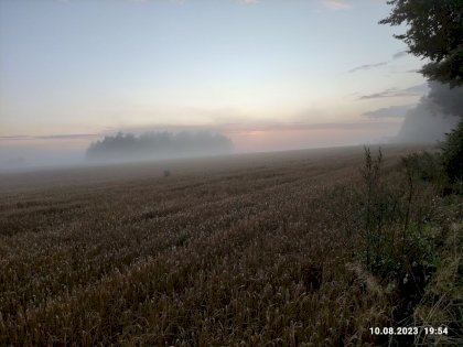 IMG_20230810_195435.jpg