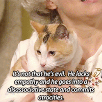 iant evil cat no no.gif