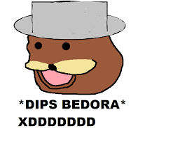 images.png
