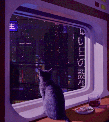 15152707573390.gif