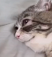 grim.gif