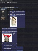 rofl.jpg