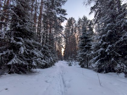 PXL_20240118_155137871.jpg