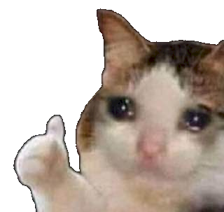 sad kot thumb up.png