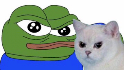 frosh n kot stare.png