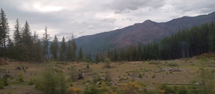 IMG_20230617_185452_000.jpg